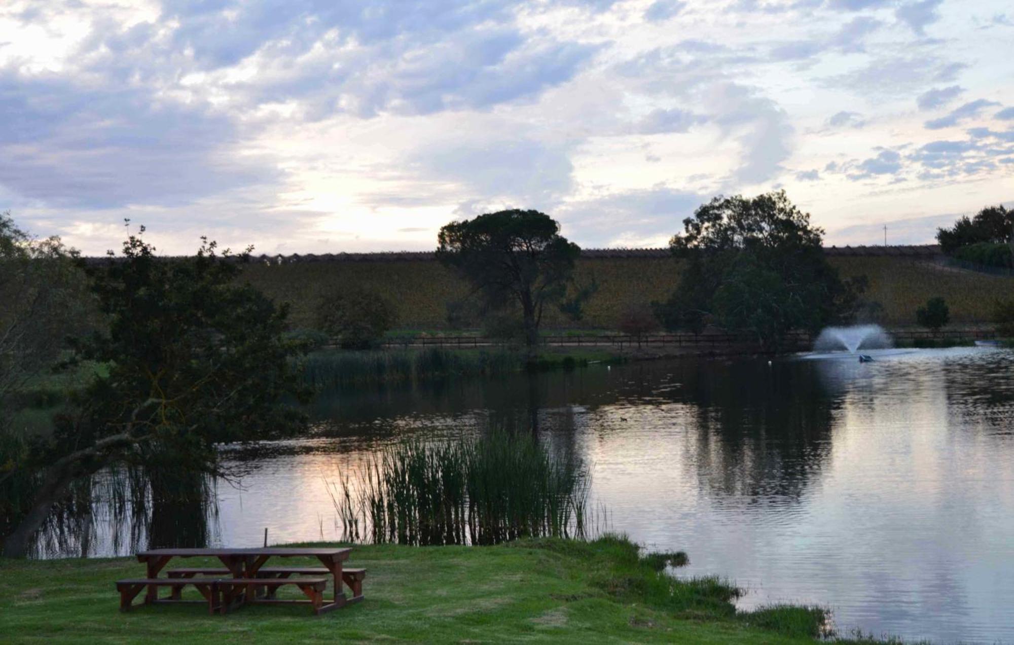 Under Oaks Guest House Paarl Room photo